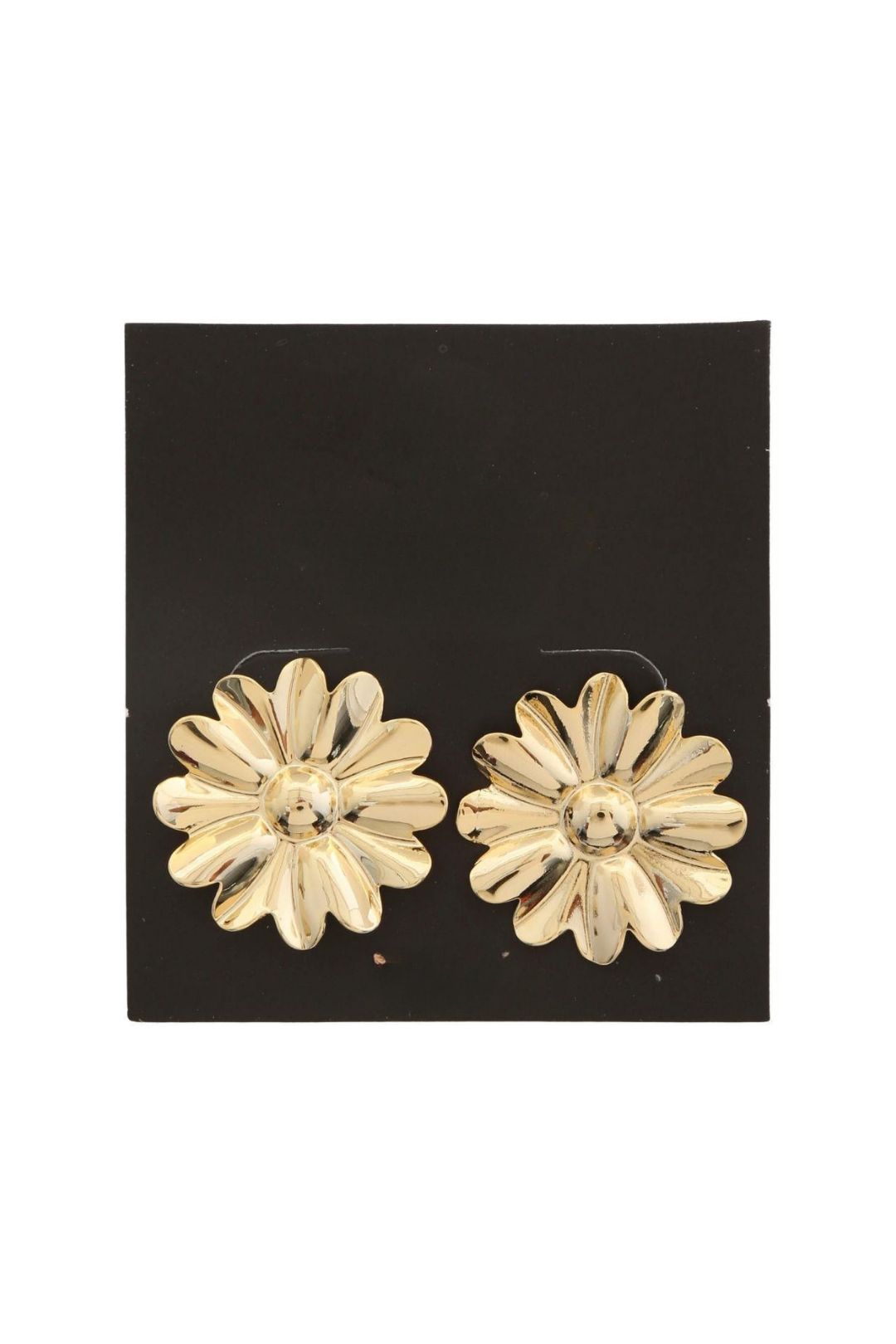 ARETES VERONICA