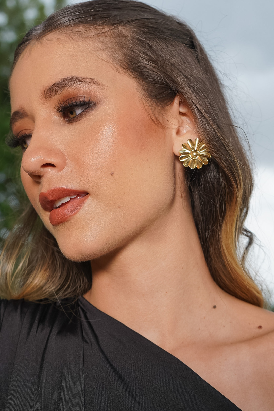 ARETES VERONICA